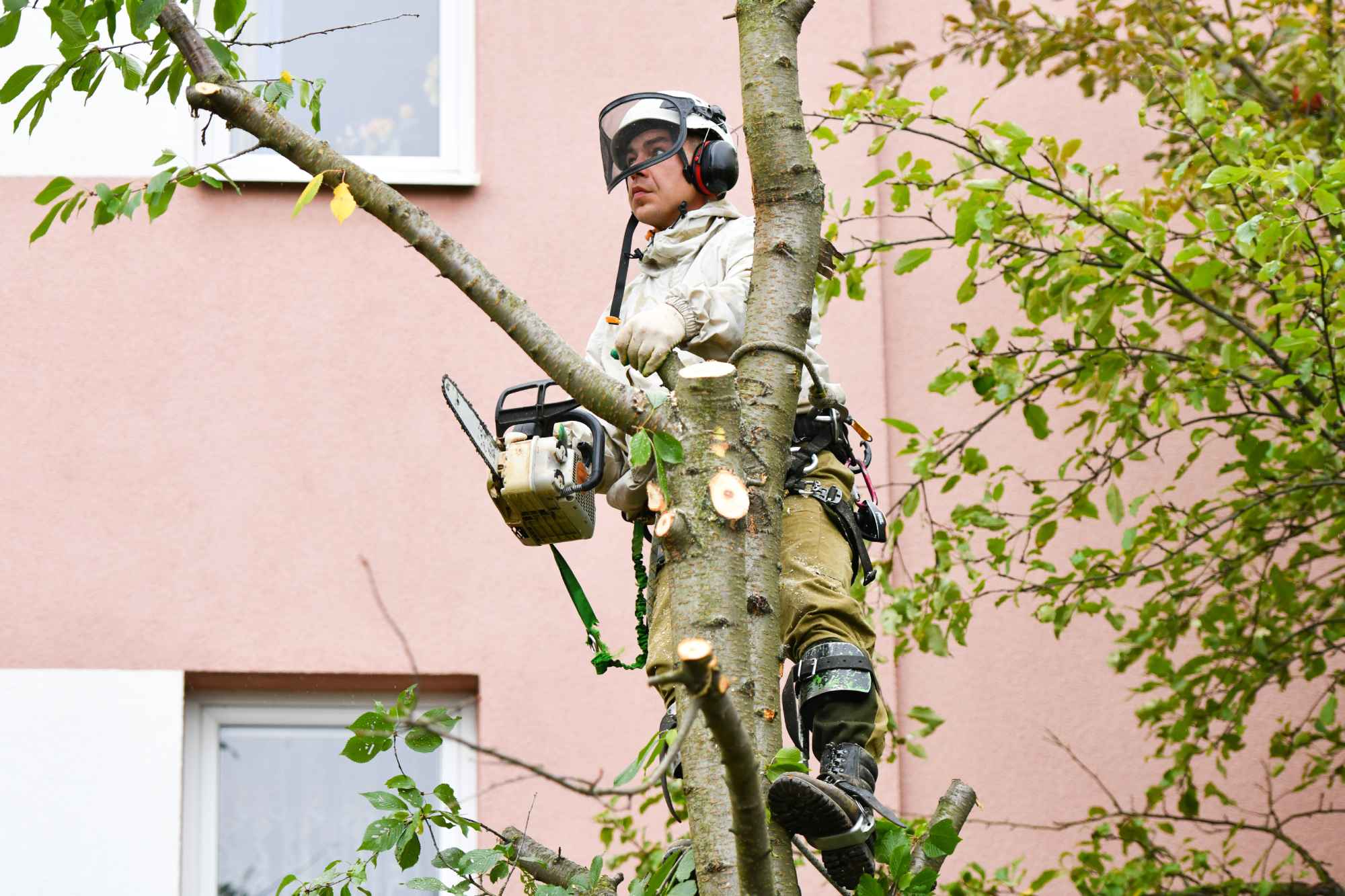 Services 9 Image